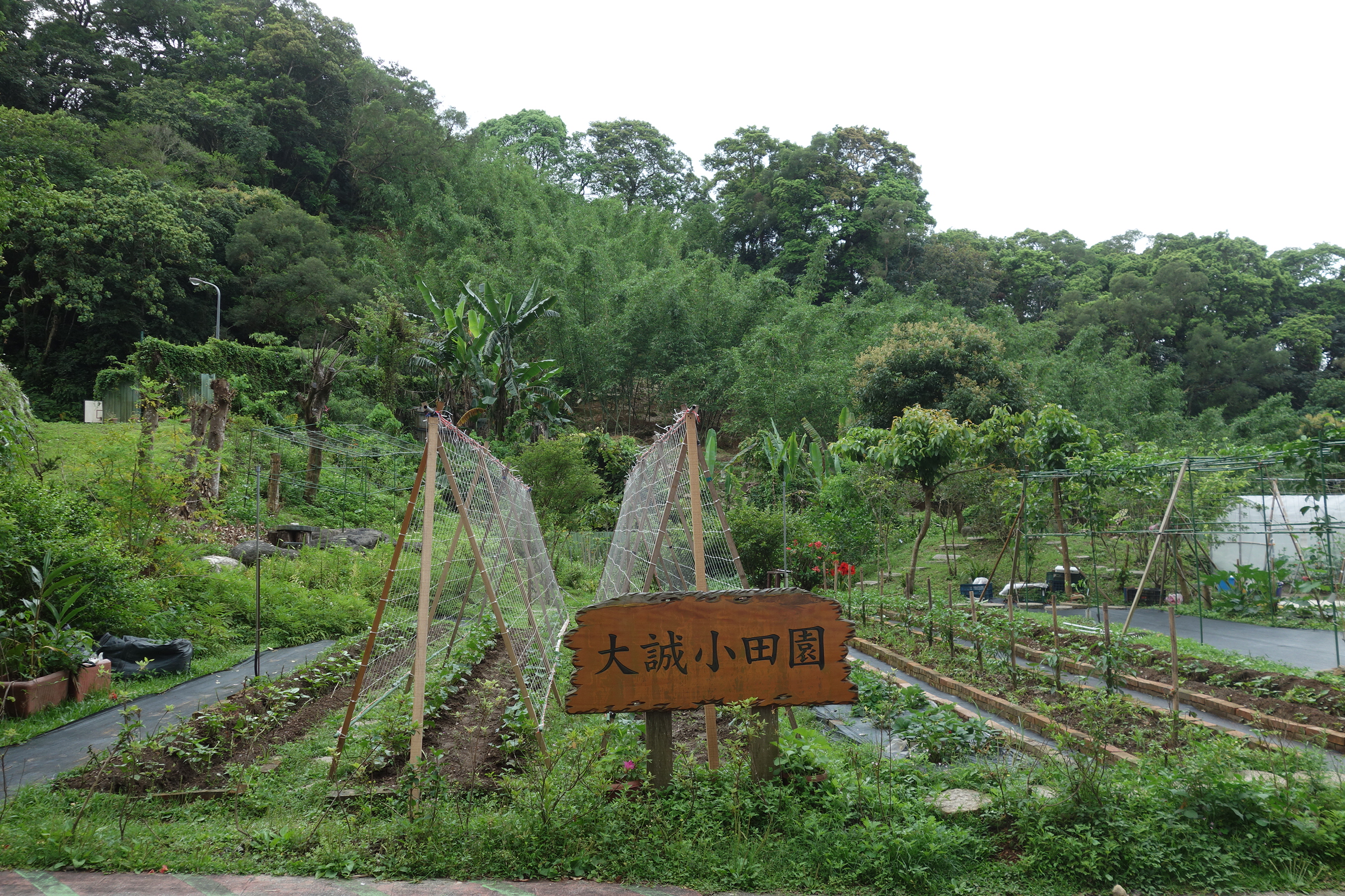 小田園專區